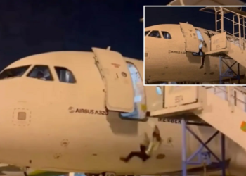 Punonjësi bie nga dera e avionit, nuk kuptoi se shkallët ishin larguar (Video)