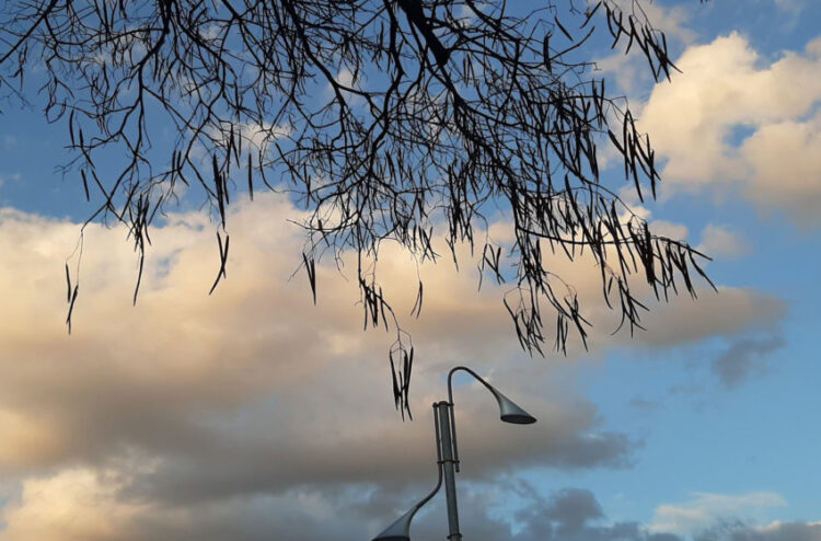 Vranësira dhe reshje shiu, ja si parashikohet moti për ditën e sotme