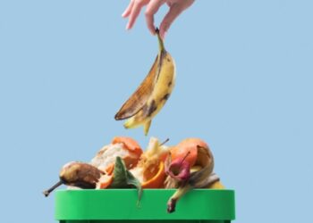 Pjesët e ushqimeve të cilat vërtet nuk duhet t’i hidhni