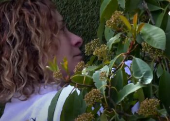 Pas debateve të ashpra, Egla ja plas të qarës teksa qëndron e vetme