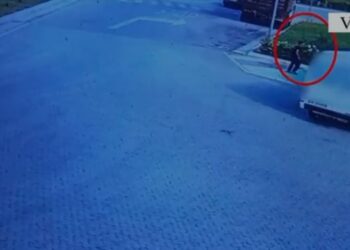 Drejtonte i dehur furgonin që kishte vjedhur, arrestohet 51-vjeçari në Vlorë