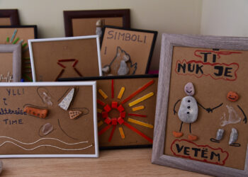 BIRN/ Të sëmurët mendor nuk kurohen, ju mbeten barrë familjes