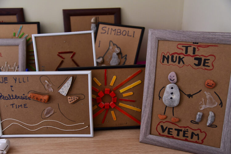 BIRN/ Të sëmurët mendor nuk kurohen, ju mbeten barrë familjes