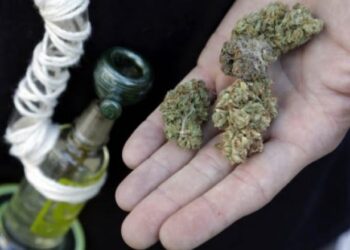 Shkodër, arrestohet 18-vjeçari, i shpërndau lëndë narkotike një të mituri