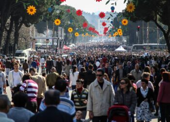 Vendet e lira të punës, vetëm 7.6% e tyre kërkojnë arsim të lartë/ FOTO