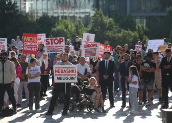 ‘Familja është themeli i një kombi’, qytetarët protestojnë kundër ligjit të surrogacisë