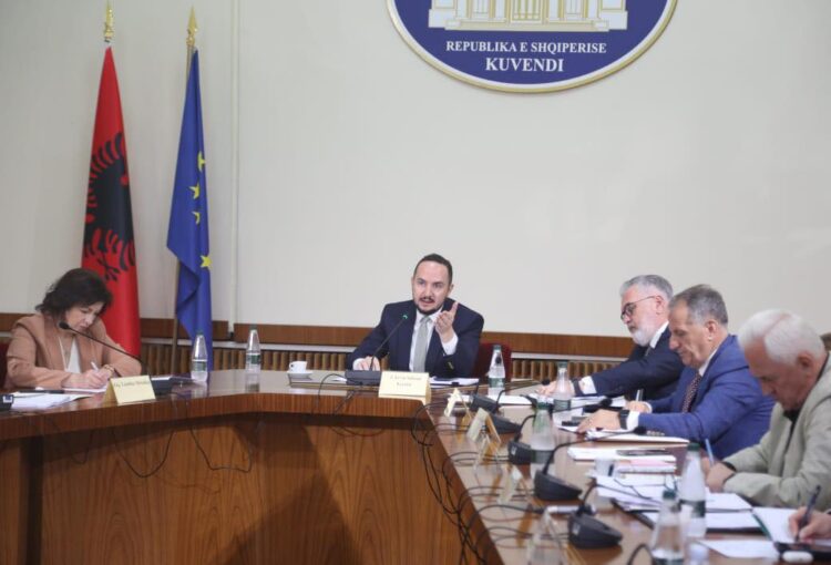 Vjedhja e TIMS, Salianji: PS u përpoq me çdo formë të bllokonte punën e Komisionit Hetimor