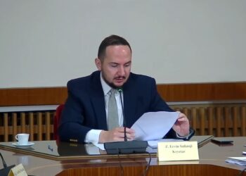 Salianji replikon me Gogun në komisionin “TIMS”:  Jashtë juridiksionit të këtij shteti është kryeministri