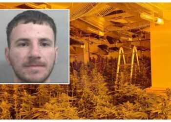 U arrestua në Skrapar, ja kush është 27-vjeçari i kërkuar për shtëpi bari në Angli