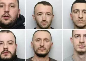 EMRAT/ Kultivuan kanabis me vlerë 450 mijë £ në Britani, burg për 6 shqiptarët