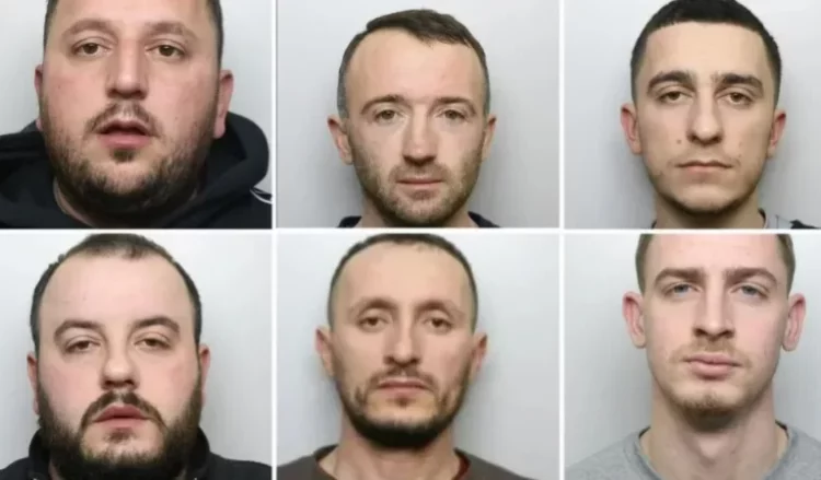 EMRAT/ Kultivuan kanabis me vlerë 450 mijë £ në Britani, burg për 6 shqiptarët