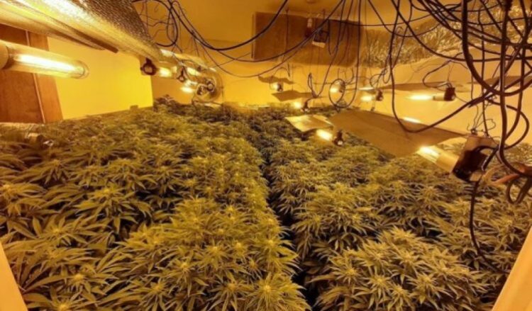 Zbulohet shtëpi bari në Tepelenë, shoqërohen katër persona