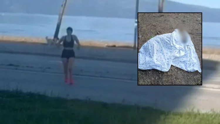 Kafshuan turisten në Vlorë, bashkia gjen ‘zgjidhjen’: Helmon në masë qentë