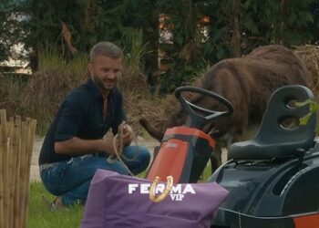 Valeri “bisedon” me gomarin: Më lehtë merrem vesh me ty sesa me fermerët