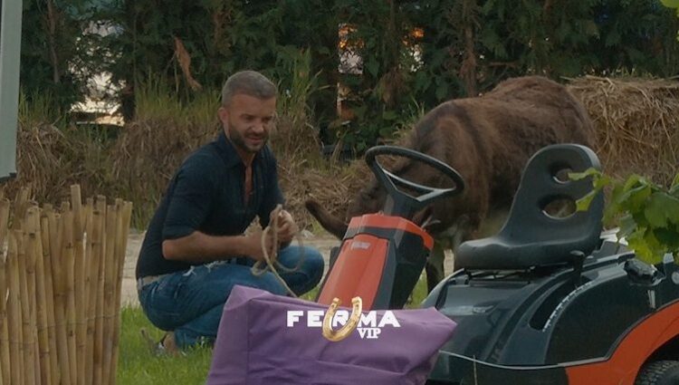 Valeri “bisedon” me gomarin: Më lehtë merrem vesh me ty sesa me fermerët