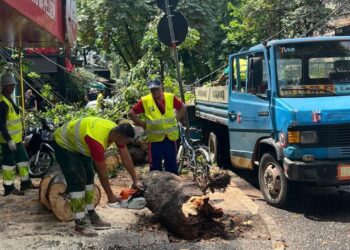 Tiranë – Pema bie mbi trotuar te “Myslym Shyri”, këputen kabujt elektrikë