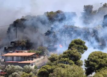 Nisin zjarret në Athinë, situata pritet të përkeqësohet nga vapa përvëluese në Greqi