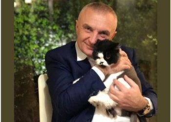 Monika dhe Iliri nuk janë bashkë, por për Sashën kush po kujdeset? /FOTO