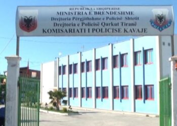 Dy vëllezër qëllojnë me armë zjarri 43-vjeçarin në fshatin Luz i Vogël, Kavajë