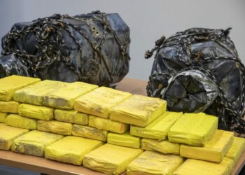 Operacion antidrogë në Belgjikë dhe disa shtete në Europë, 17 të arrestuar/ Mes tyre edhe shqiptarë