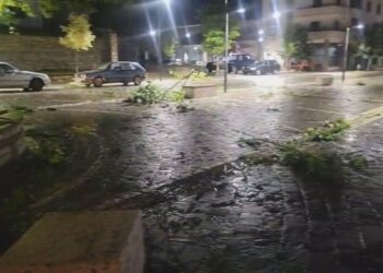 Furtunë në Leskovik, era shkul pemët, probleme dhe me furnizimin me energji