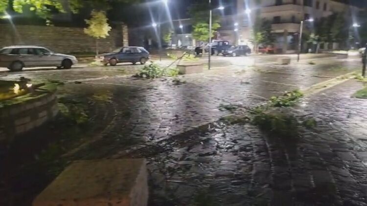 Furtunë në Leskovik, era shkul pemët, probleme dhe me furnizimin me energji