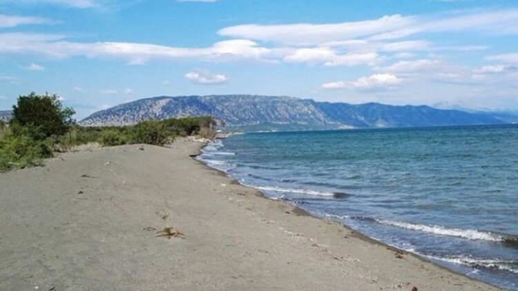 Mbytet një pushues në plazhin e Velipojës