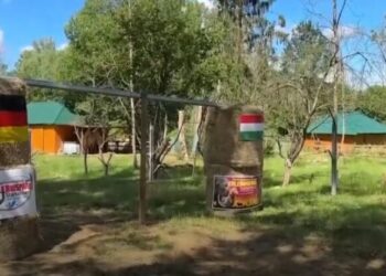 Gjermani-Hungari, elefanti ‘Bubi’ parashikon rezultatin e ndeshjes