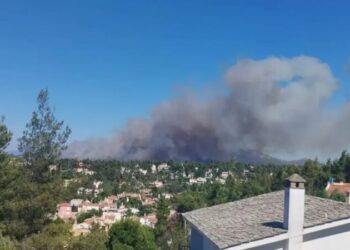 (Video) Zjarret në Greqi, policia largon banorët nga shtëpitë
