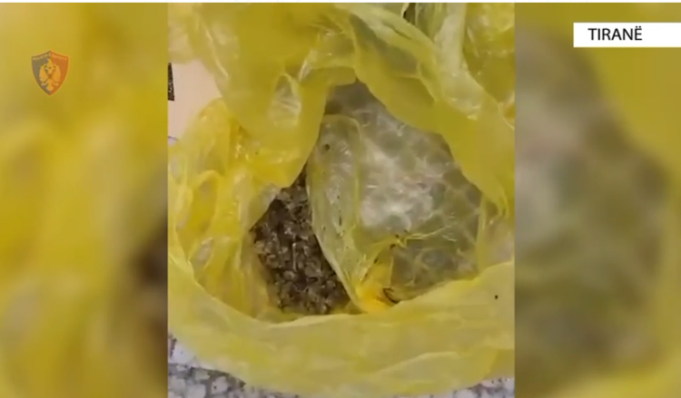 Tiranë, goditet grupi kriminal që shiste kanabis