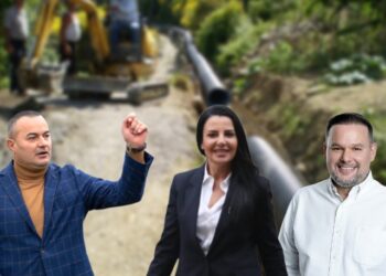 Ervin Demo dhe Belinda Balluku i japin 1.9 milionë euro pa garë vëllait të politikanit