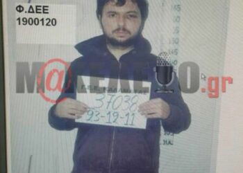 Vret shokun e burgut, Alfons Ndocin, në Koridhalo, Xhuliano Halili pranon krimin