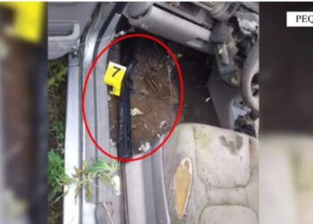 EMRI/ Zbulohen arsenal armësh dhe drogë në Peqin, arrestohet 43-vjeçari