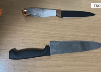 Policia arreston 19-vjeçarin, dhunon familjen dhe kërcënon me thikë nënën