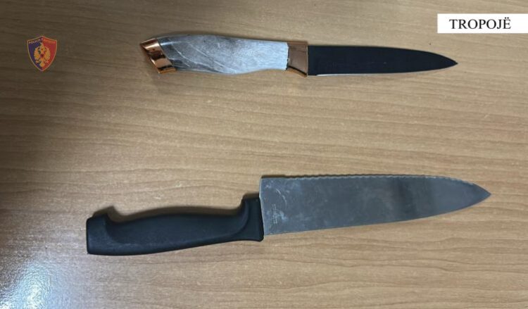 Policia arreston 19-vjeçarin, dhunon familjen dhe kërcënon me thikë nënën