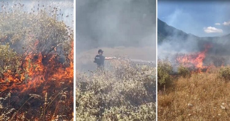 Zjarr në Prongji të Gjirokastrës