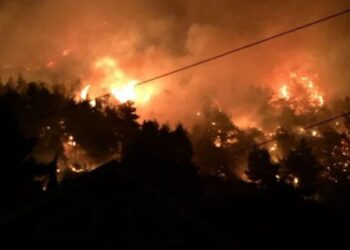 Shuhet në mëngjes zjarri në Pilur, dogji 25 ha shkurre e pemë