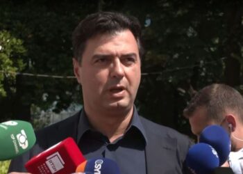 Vula e PD-së iu dha Berishës, Luzim Basha: Disa beteja i kam fituar, të tjerat i kam humbur