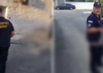 Video/ Gjarpri tmerron të moshuarën në banesë, kërkon ndihmën e policisë