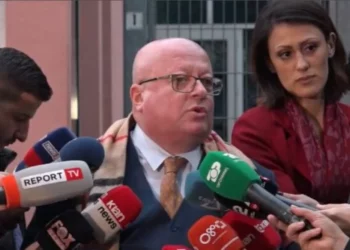 Avokati i Metës: Ndarja nuk mund të shndërrohet në biznes politik