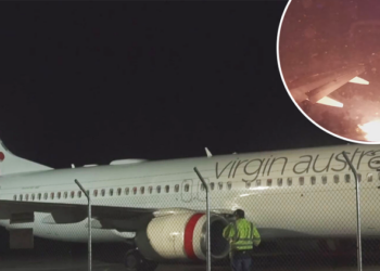 Avioni bën ulje emergjente në Zelandën e re, shkak u bënë disa shpend