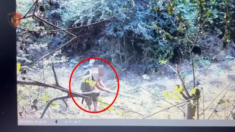 Kultivuan kanabis në mes të pyllit, arrestohen tre vëllezërit në Durrës (Emrat)