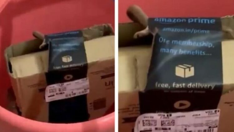 Porositën online një Xbox, kur hapën pakon mbetën pa fjalë nga frika