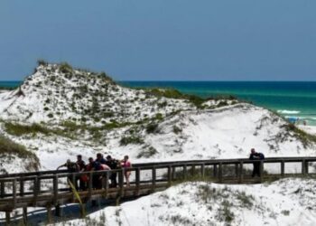 Mbyllen disa plazhe në Florida, peshkaqenët sulmojnë pushuesit