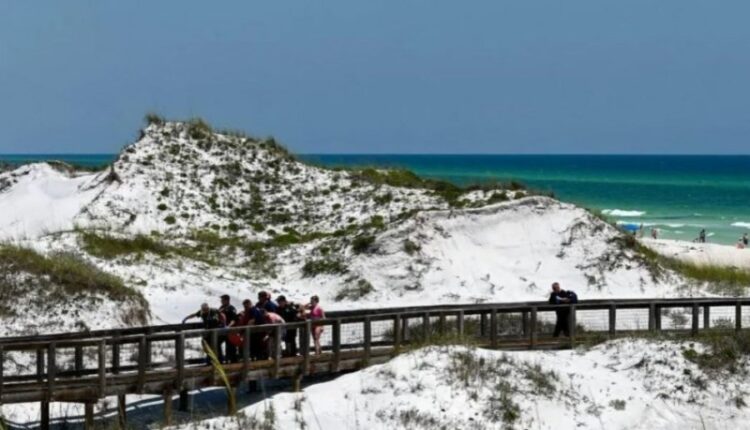 Mbyllen disa plazhe në Florida, peshkaqenët sulmojnë pushuesit
