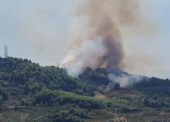 Zjarr masiv në Fier/ Flakët përfshijnë kodrat me ullishte, 6 zjarrfikëse në zonë