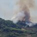 Zjarr masiv në Fier/ Flakët përfshijnë kodrat me ullishte, 6 zjarrfikëse në zonë