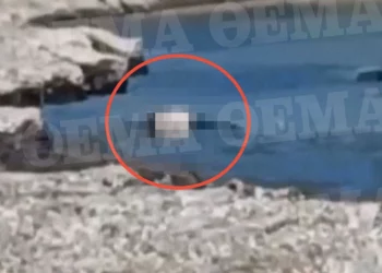 Mbi 20 ditë brenda në ujë me një peshë prej 10 kg të lidhur në këmbë, dalin pamjet e trupit të pajetë/ VIDEO