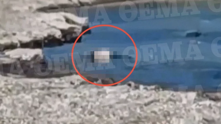 Mbi 20 ditë brenda në ujë me një peshë prej 10 kg të lidhur në këmbë, dalin pamjet e trupit të pajetë/ VIDEO