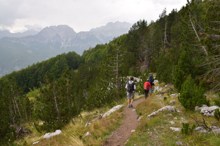 Rrëzohet në greminë një turist gjerman, niset me helikopter drejt Tiranës